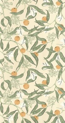Caselio Danae DAE103611077 (Met Gratis Lijm) - Groen / Beige
