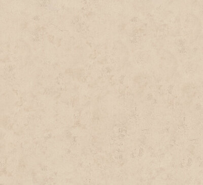 HookedOnWalls Terra Cotta 42124 (Met Gratis Lijm!)