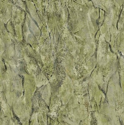 Dutch First Class Carrara 3 84623 (*Gratis Lijm)