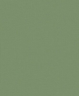 Dutch Wall Decor Daphne CC100507 Groen