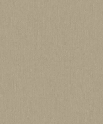 BN Wallcoverings Monochrome 221425 (Met Gratis Lijm*) Beige