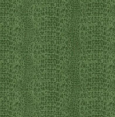 Dutch First Class Amazon River AR9907 (*Met Gratis Lijm!) Groen