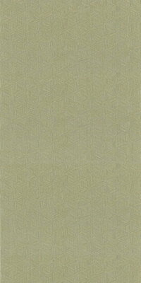 Casamance Nature Précieuse - Textures (Met Gratis Lijm*) 76480712 - Groen