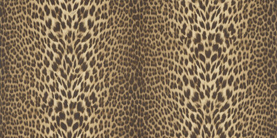 Dutch First Class Roberto Cavalli 9 (*Met Gratis Lijm!) 21041 - Bruin