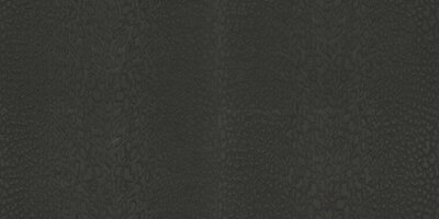 Dutch First Class Roberto Cavalli 9 (*Met Gratis Lijm!) 21044 - Zwart