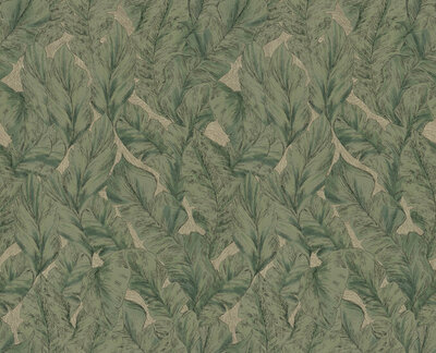Dutch First Class Roberto Cavalli 9 (*Met Gratis Lijm!) 21077 - Groen / Beige