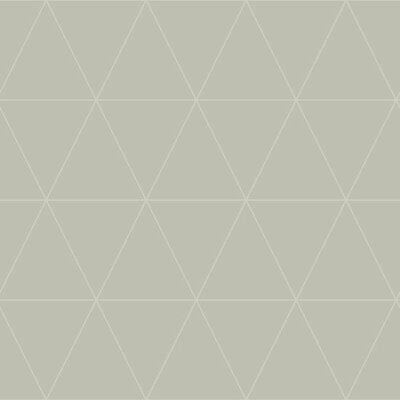 Origin Wallcoverings City Chic (Met Gratis Lijm!) 347744 - Grijs