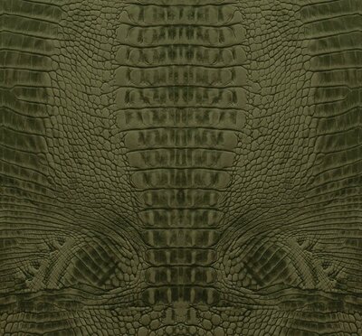 Origin Wallcoverings Luxury Skins (Met Gratis Lijm!) 357246 - Groen
