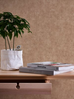 AS Creation Terra - 38922-9 - 389229 Beige / Bruin