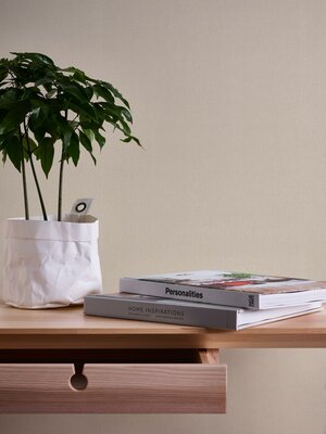 AS Creation Terra / 2117-67 - 211767 Beige / Bruin