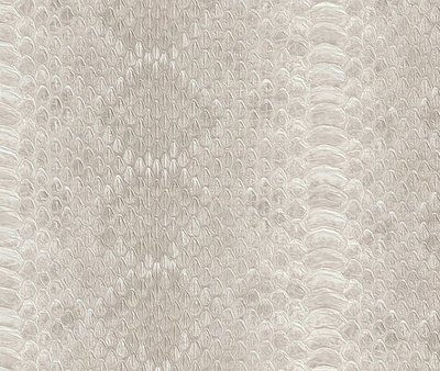 Rasch African Queen II 473827
