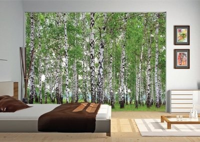 AG Design Fotobehang Berkenbos FTS1304