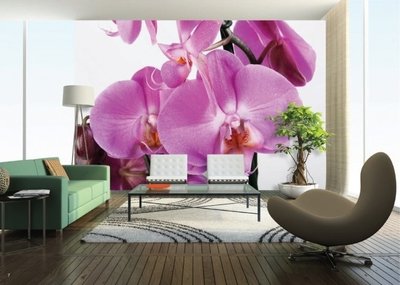 AG Design Fotobehang Paarse Orchidee?n FTS0049