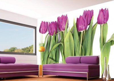 AG Design Fotobehang Paarse Tulpen FTS0065