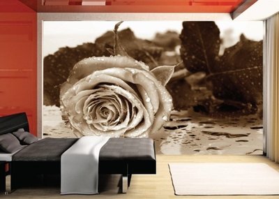 AG Design Fotobehang Roos Sepia FTS0086
