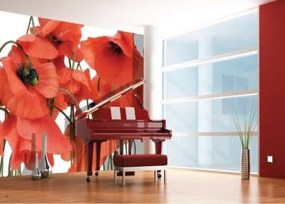 AG Design Fotobehang Klaprozen FTS0479