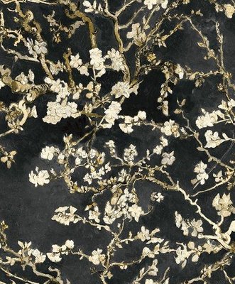 BN van Gogh 17145