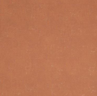 BN Indian Summer 218545