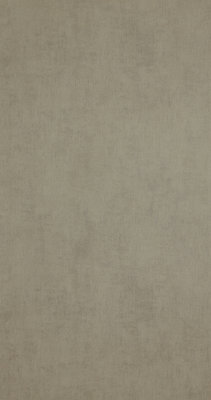 BN Wallcoverings Color Stories Chapter Three Bruin 218515