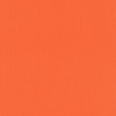 Rasch Barbara 527360