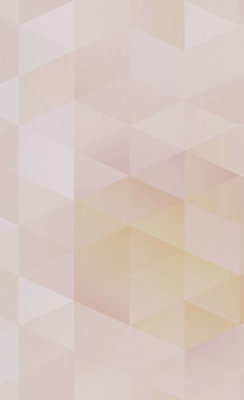 BN Wallcoverings Smalltalk 219281 - Roze