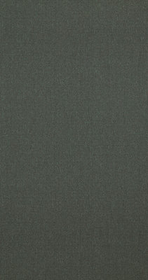 BN Wallcoverings Interior Affairs 218688 - Groen
