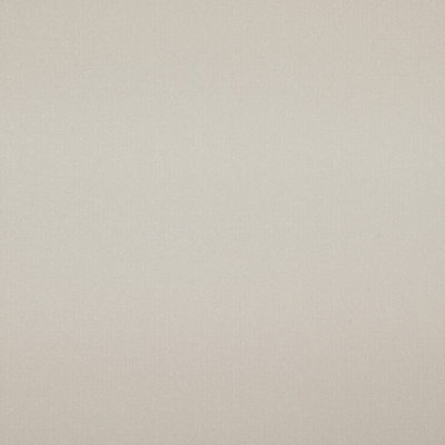 BN Wallcoverings Interior Affairs / Zen 218684