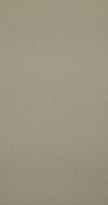 BN Wallcoverings Interior Affairs 218689 (Groen)