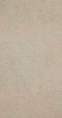 BN Wallcoverings Raw Matters 218775 beton laatste rol