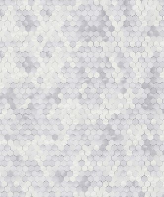 BN Wallcoverings Dimensions 219580 - Grijs