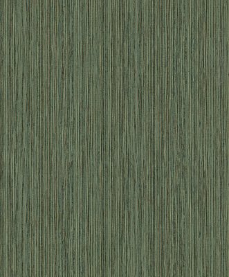 BN Wallcoverings Dimensions 219611 - Groen