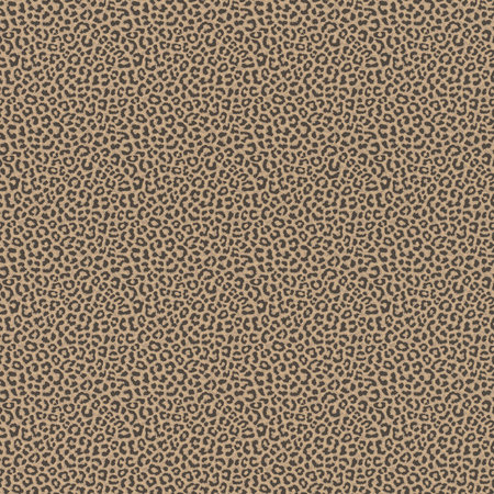 Rasch Selection Collectie 215618