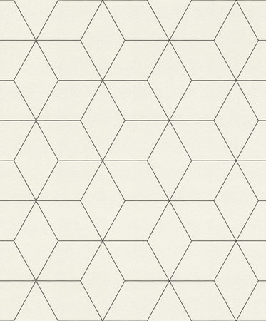 Rasch Selection Collectie 624304 Hexagone