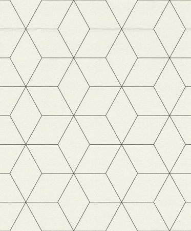 Rasch Selection Collectie 624304 Hexagone