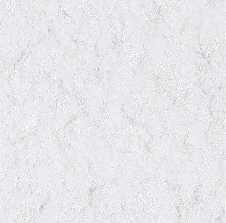 Rasch Selection Collectie 868012