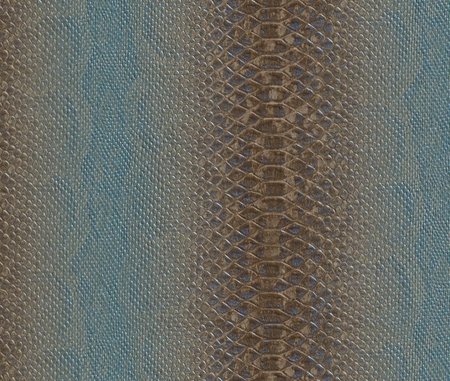 Rasch African Queen II 453331