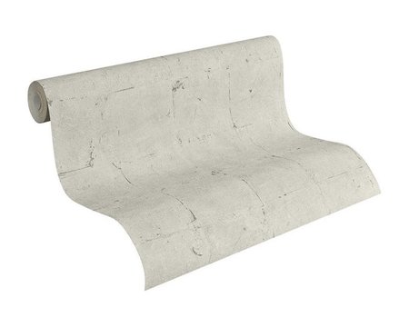 AS Creation Beton Behang 93992-1 / 939921