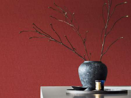 BN Van Gogh 2019 220070 - Rood