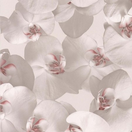 Noordwand Reality II behang 51152103 orchideeen behang