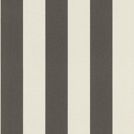 Rasch Poetry II 542752