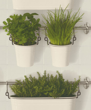 Rasch Selection Collectie 937909