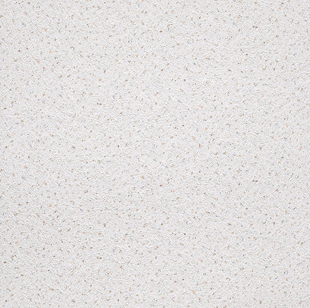 Rasch Selection Collectie 296907