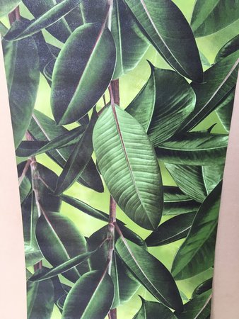 The Botanical Collection - SN6201