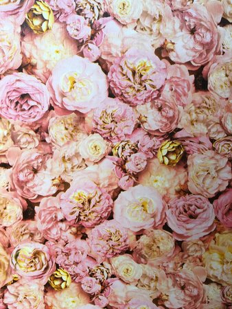 The Botanical Collection - AS21203