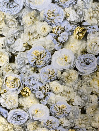 The Botanical Collection - AS21201
