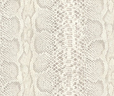 Rasch African Queen 423167