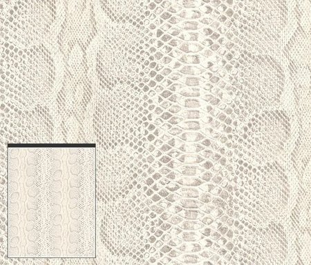 Rasch African Queen 423167
