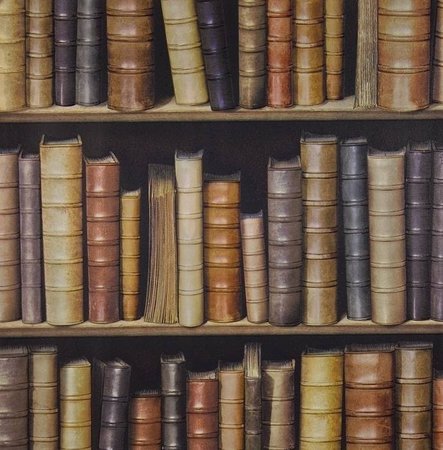The duke,s bookcase relief vinyl