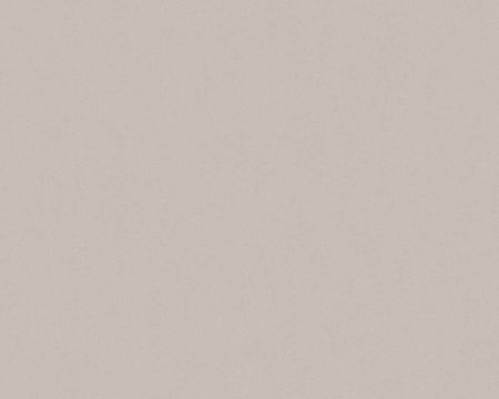 AS Creation Trendwall | 3690-55 / 369055