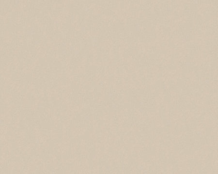 AS Creation Trendwall | 3696-59 / 369659 uni taupe glitter - Beige